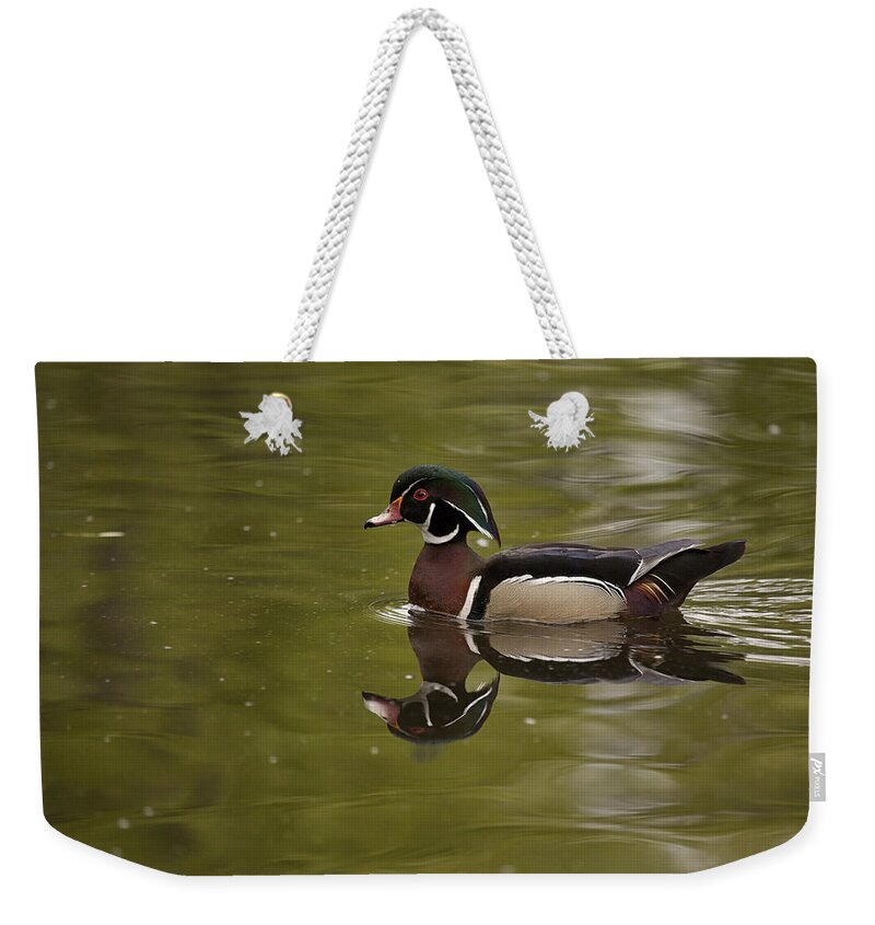 Duck Weekender Tote Bag featuring the photograph Wood Duck by Eunice Gibb