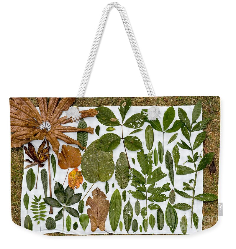 Peru Weekender Tote Bag featuring the photograph Woody Plant Leaves by Gregory G. Dimijian, M.D.