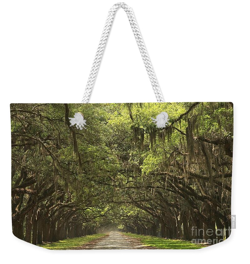 Avenue Of The Oaks Weekender Tote Bag featuring the photograph Wormsloe Avenue Of The Oaks by Adam Jewell
