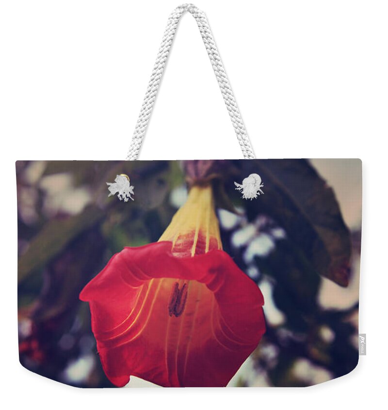 Uc Berkeley Botanical Garden Weekender Tote Bag featuring the photograph Worth It All by Laurie Search