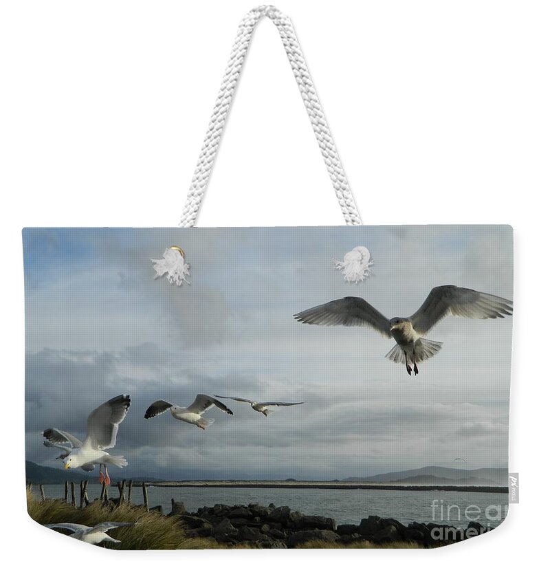 Birds Weekender Tote Bag featuring the photograph Wow Seagulls 2 by Gallery Of Hope 