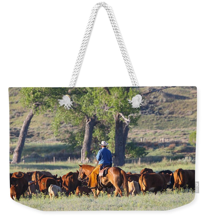 Wyoming 2014 Weekender Tote Bag featuring the photograph Wyoming Country by Diane Bohna