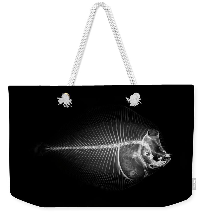 Animal Themes Weekender Tote Bag featuring the photograph X-ray Of A Flounder Fish Against Black by Mike Hill