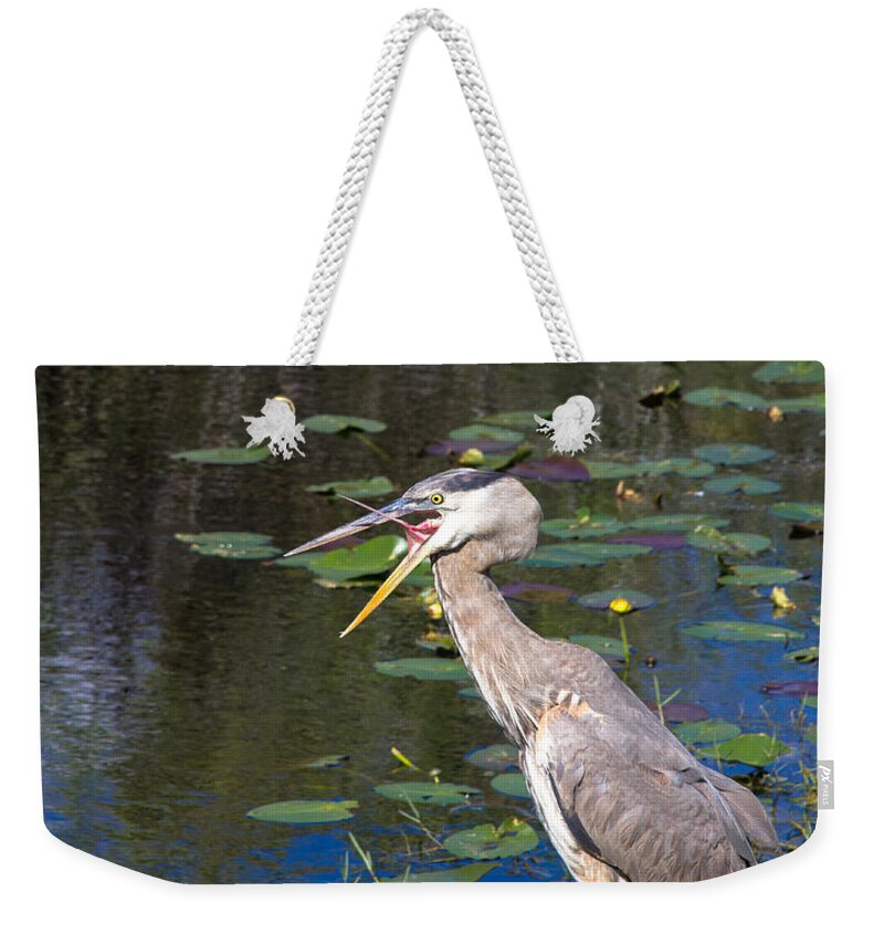Everglades Weekender Tote Bag featuring the photograph Yawning Heron by Agnes Caruso