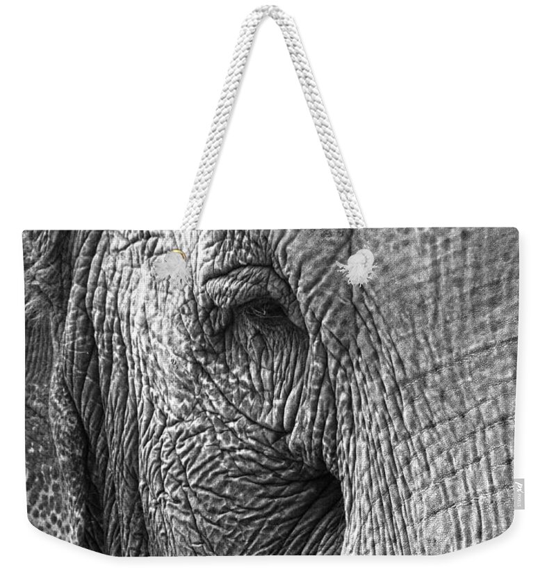 Elephant Weekender Tote Bag featuring the photograph Years Remembered by J C