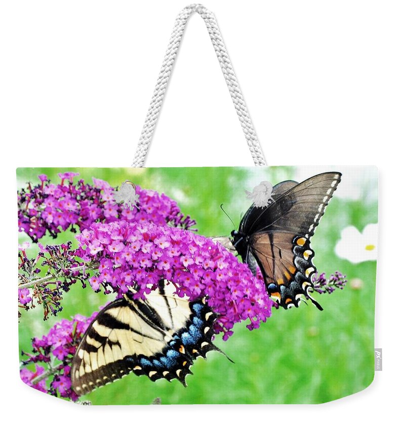 Nature Weekender Tote Bag featuring the photograph Yellow and Black Swallowtail Butterflies by Kim Bemis