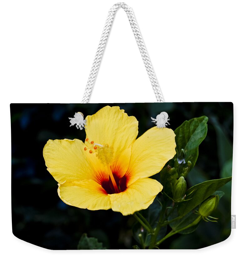 Botanic Weekender Tote Bag featuring the photograph Yellow and Red Hibiscus by Christi Kraft