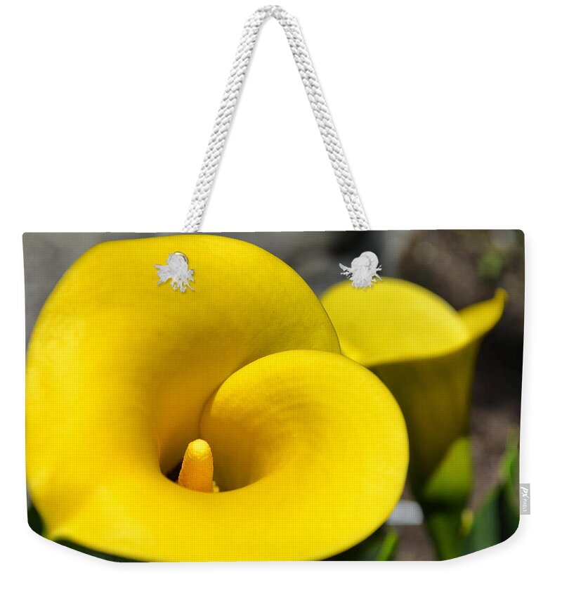 Yellow Weekender Tote Bag featuring the photograph Yellow Lily by Spencer Hughes