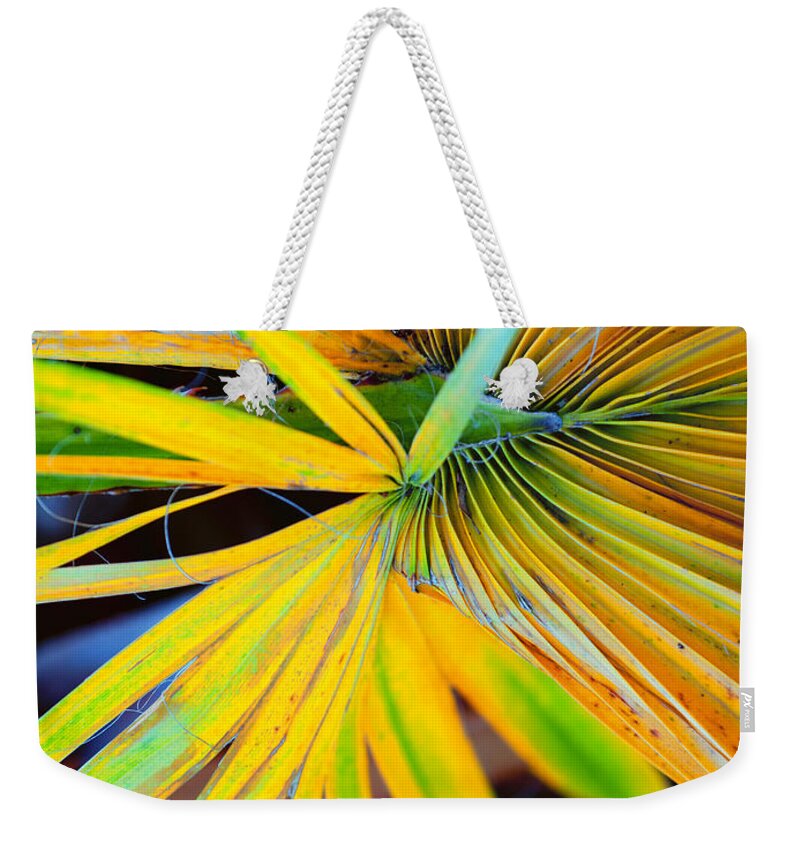 Leaf Weekender Tote Bag featuring the photograph Yellow Palm 3 by Stephen Anderson