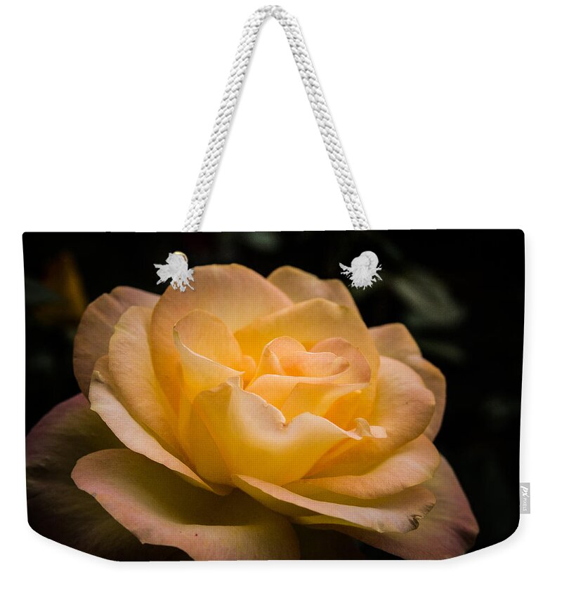 New England Weekender Tote Bag featuring the photograph Yellow ray of sunshine by Jeff Folger