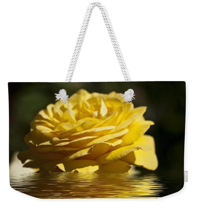 Yellow Rose Weekender Tote Bag featuring the photograph Yellow Rose Flood by Steve Purnell