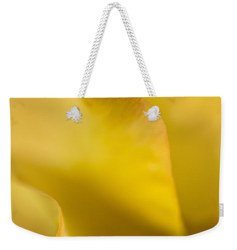 Plant Weekender Tote Bag featuring the photograph Yellow Rose Petal Abstract by Mary Jo Allen