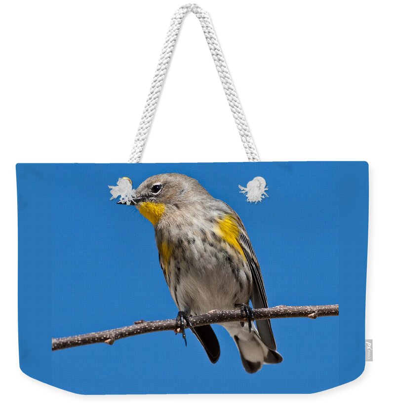 Adult Weekender Tote Bag featuring the photograph Yellow-Rumped Warbler by Jeff Goulden