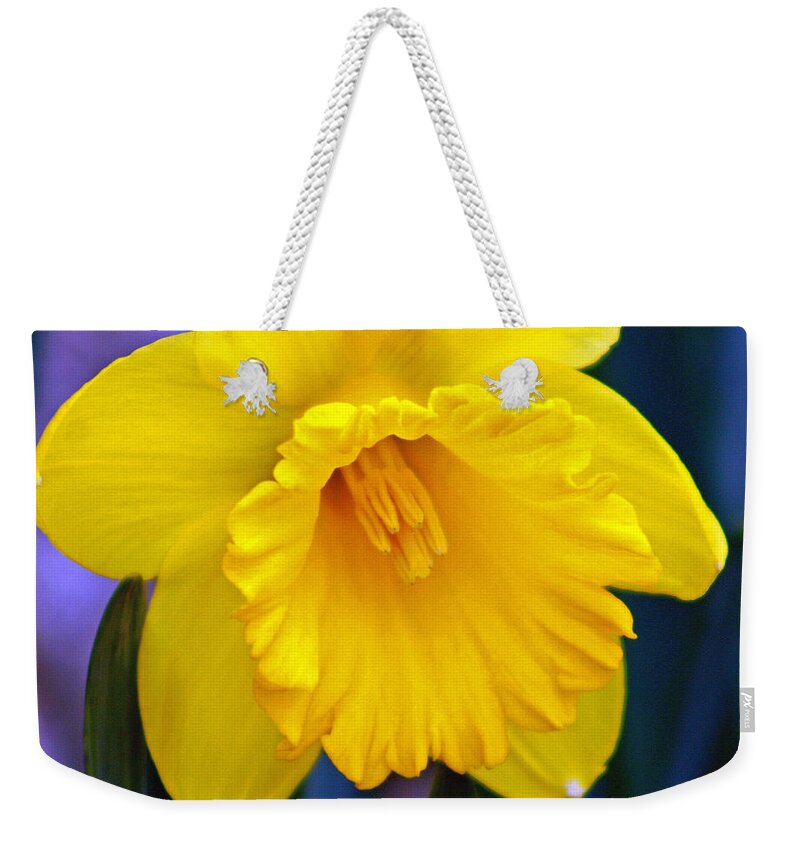 Daffodil Weekender Tote Bag featuring the photograph Yellow Spring Daffodil by Kay Novy