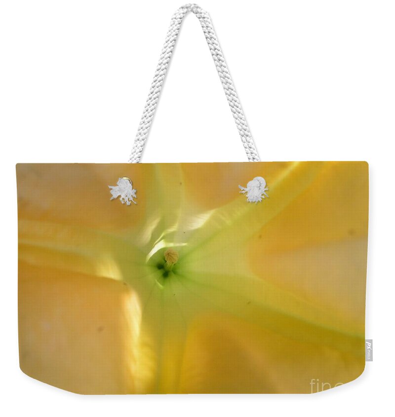 Yellow Flower Weekender Tote Bag featuring the photograph Yellow Translucent Flower by Bev Conover
