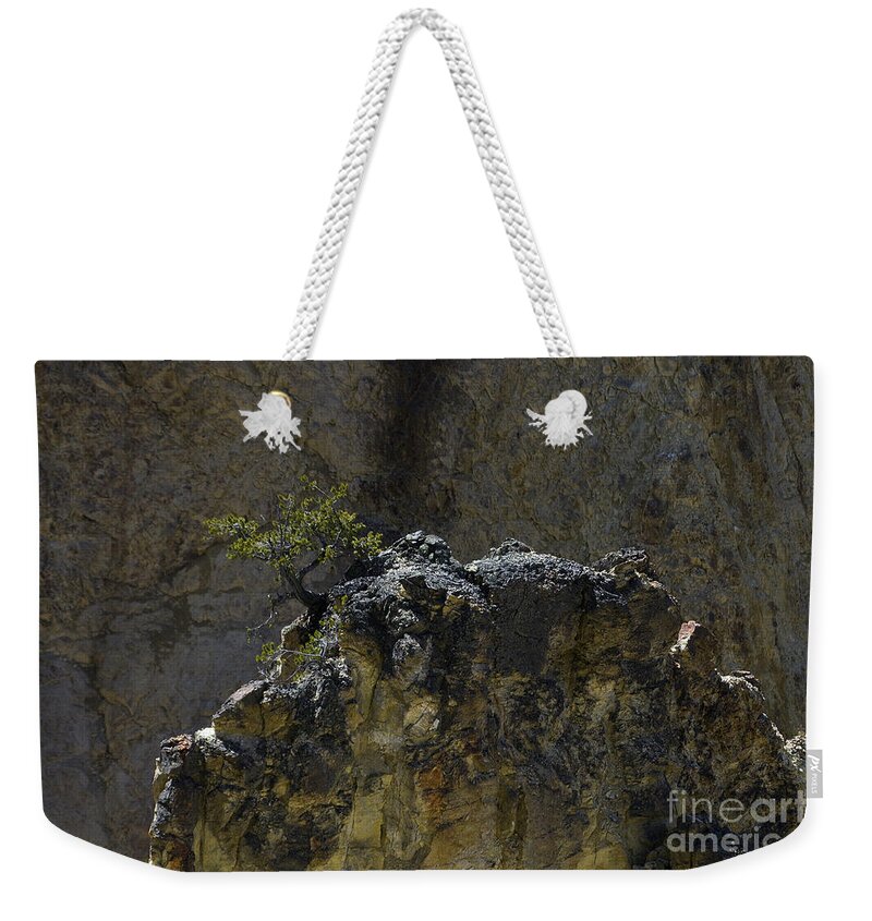 Tree Weekender Tote Bag featuring the photograph Yellowstone #4144 by J L Woody Wooden