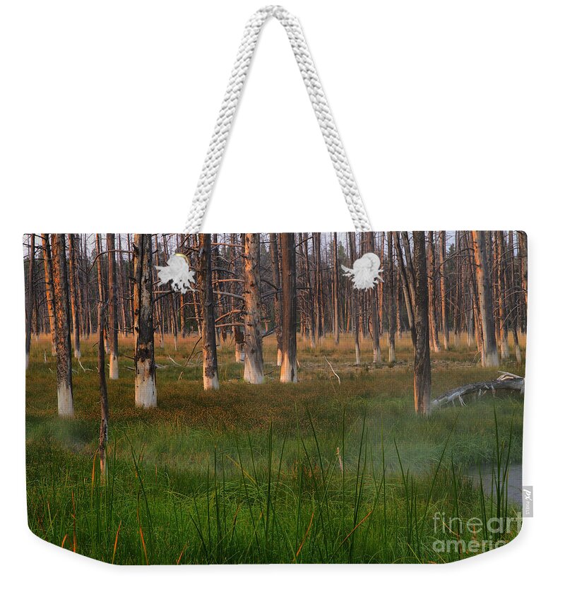 Forest Weekender Tote Bag featuring the photograph Yellowstone Mysterious Morning by Teresa Zieba