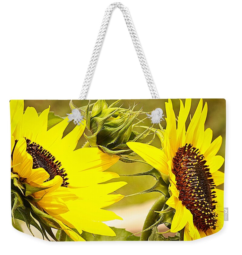 Flowers Weekender Tote Bag featuring the photograph You are my sunshine.... by Tammy Schneider