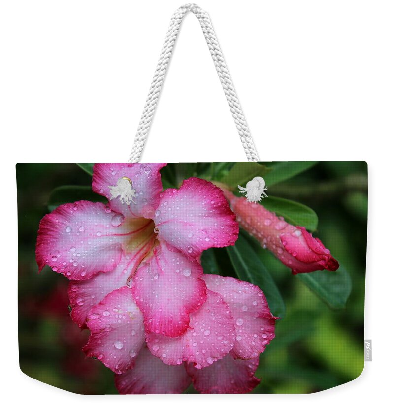 Flower Weekender Tote Bag featuring the photograph You Stole My Heart by Fiona Kennard