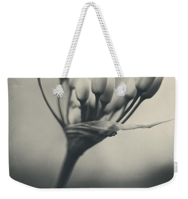 Flowers Weekender Tote Bag featuring the photograph You Will Always Be by Laurie Search