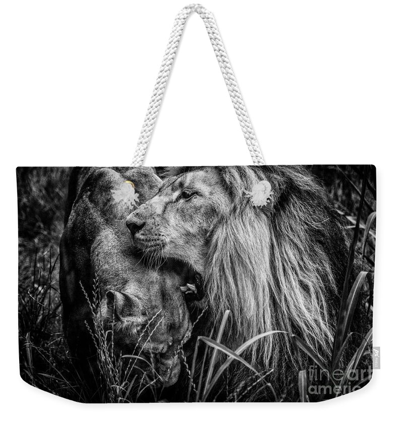 Africa Weekender Tote Bag featuring the photograph You will be queen by Traven Milovich