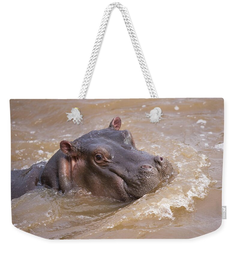 Flpa Weekender Tote Bag featuring the photograph Young Hippo In Water Masai Mara Kenya by Elliott Neep