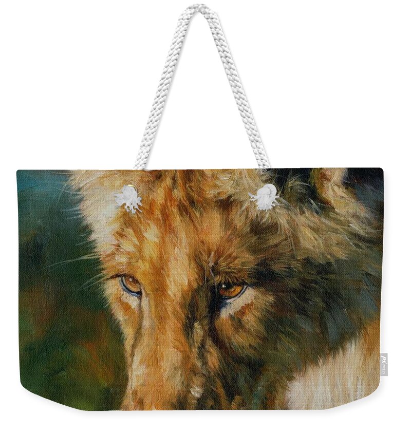 Lion Weekender Tote Bag featuring the painting Young Lion by David Stribbling