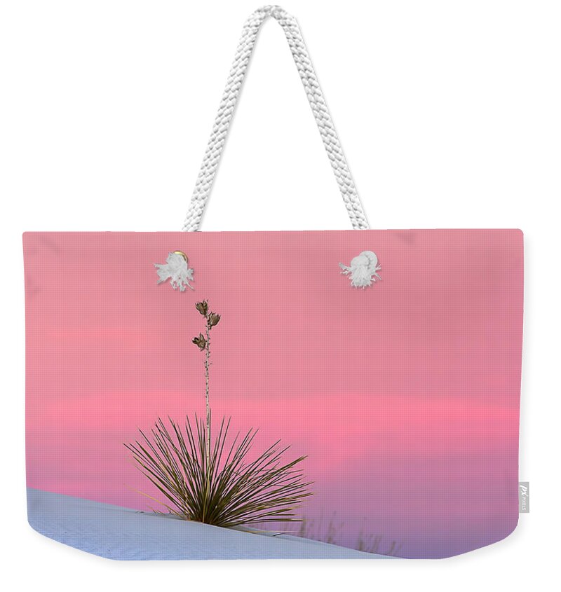 Colorado Weekender Tote Bag featuring the photograph Yucca on Pink and White by Kristal Kraft