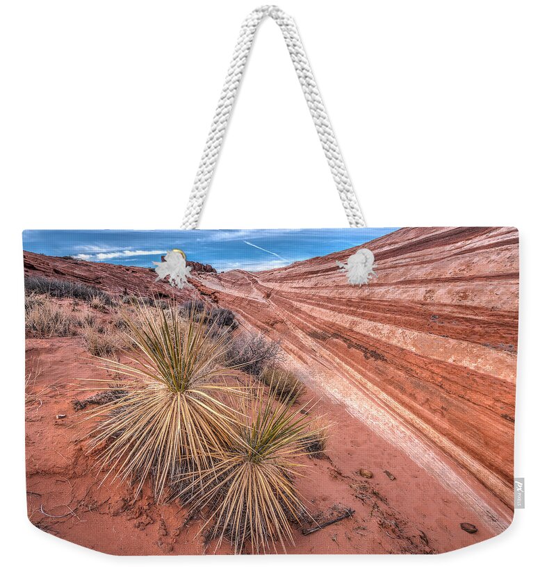 Canyon Weekender Tote Bag featuring the photograph Yucca Valley by Peter Tellone