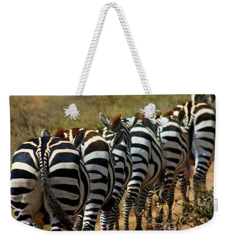 Zebra Weekender Tote Bag featuring the photograph Zebra by Amanda Stadther