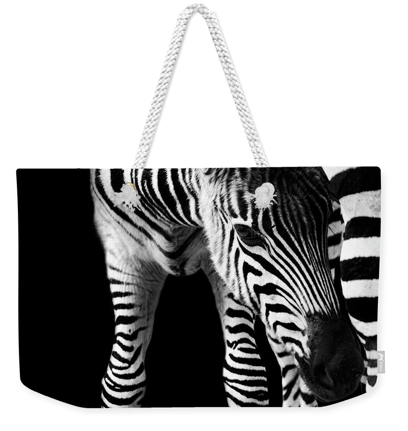 Animal Themes Weekender Tote Bag featuring the photograph Zebra Baby by Bhawika Nana Photography