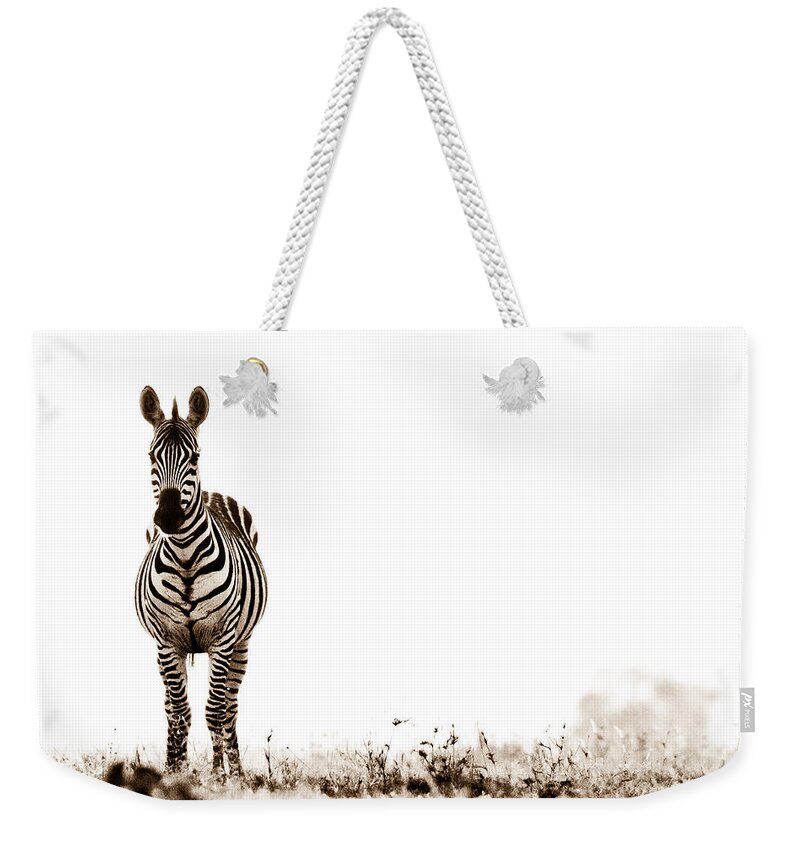 Africa Weekender Tote Bag featuring the photograph Zebra Facing Forward Washed Out Sky Bw by Mike Gaudaur