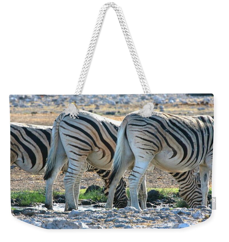 Zebra Weekender Tote Bag featuring the photograph Zebra Lineup by Bruce J Robinson