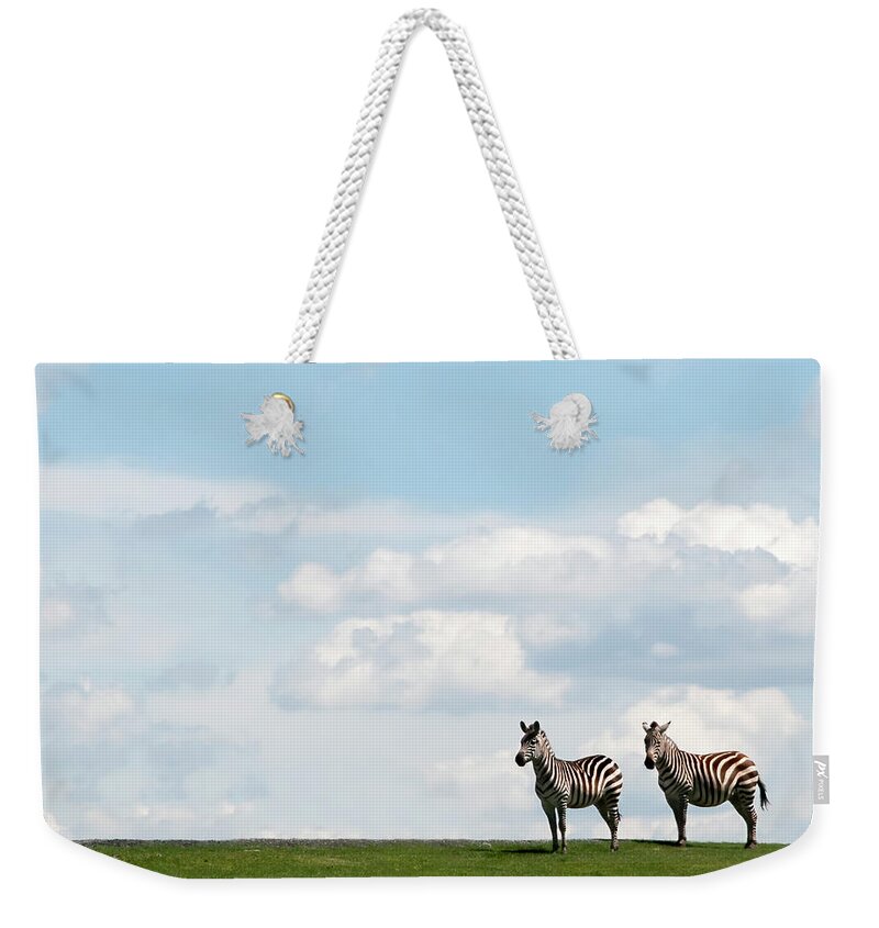 Grass Weekender Tote Bag featuring the photograph Zebra Partners by Gail Shotlander