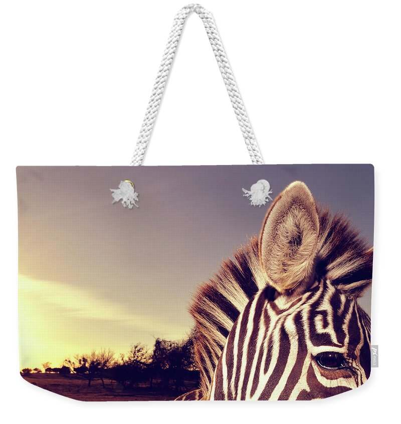 Animal Themes Weekender Tote Bag featuring the photograph Zebra Sunset by Flashbax Twenty Three Photography