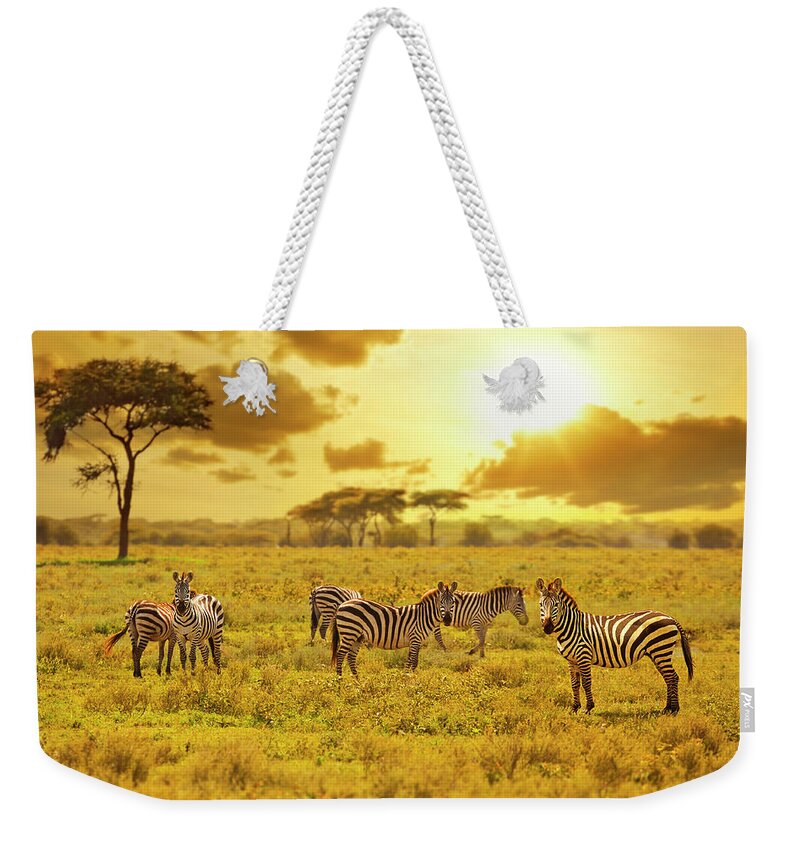 Kenya Weekender Tote Bag featuring the photograph Zebra by Ugurhan