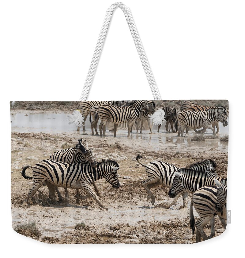 Namibia Weekender Tote Bag featuring the photograph Zebras by Franz Aberham