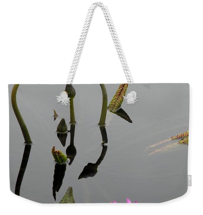 Pink Lilies Weekender Tote Bag featuring the photograph Zen Lilies by Kim Bemis