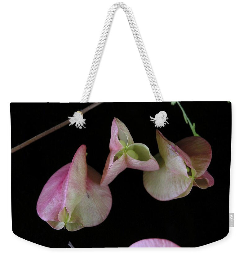 Delicate Weekender Tote Bag featuring the photograph Zen of Nature I by Julianne Felton