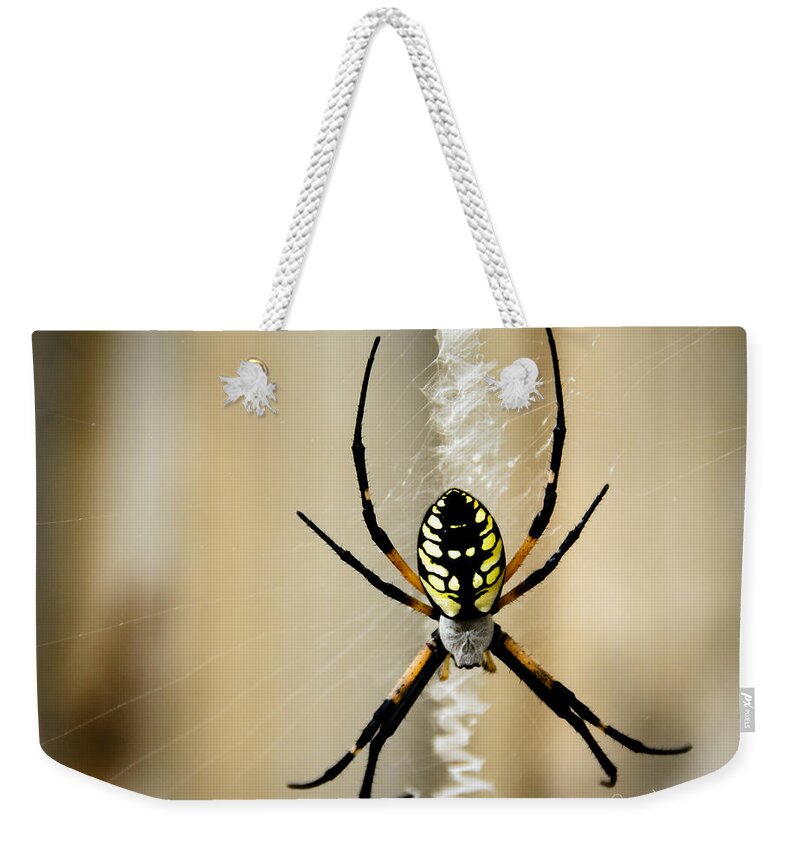 Argiope Aurantia Weekender Tote Bag featuring the photograph Zig Zag is More Fun by Penny Lisowski