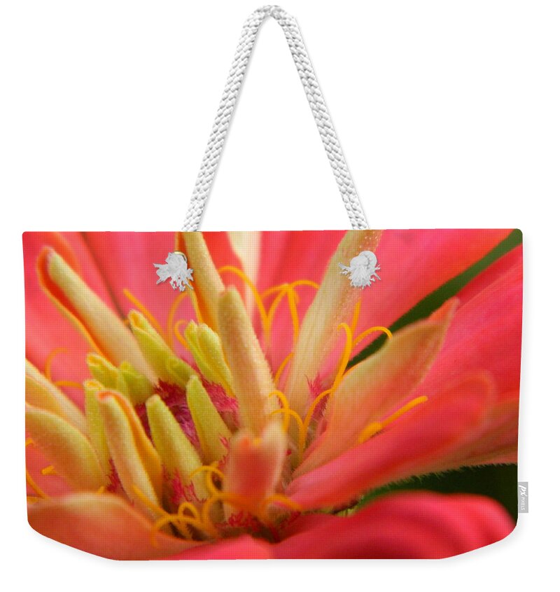 Flower Weekender Tote Bag featuring the photograph Zinnia Styri by Karen Mesaros