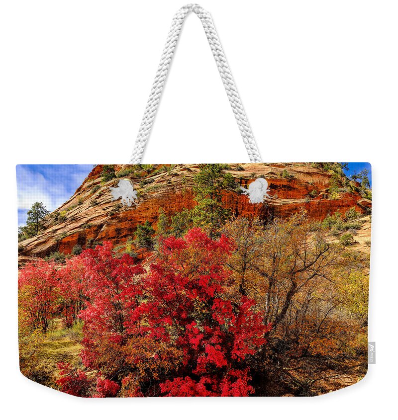 Zion National Park Weekender Tote Bag featuring the photograph Zion Mountain Maples by Greg Norrell