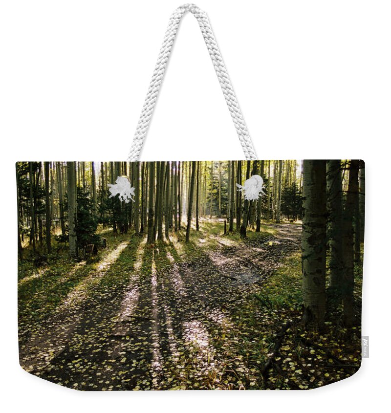 Red River Weekender Tote Bag featuring the photograph Aspen Grove On Old Red River Pass by Ron Weathers