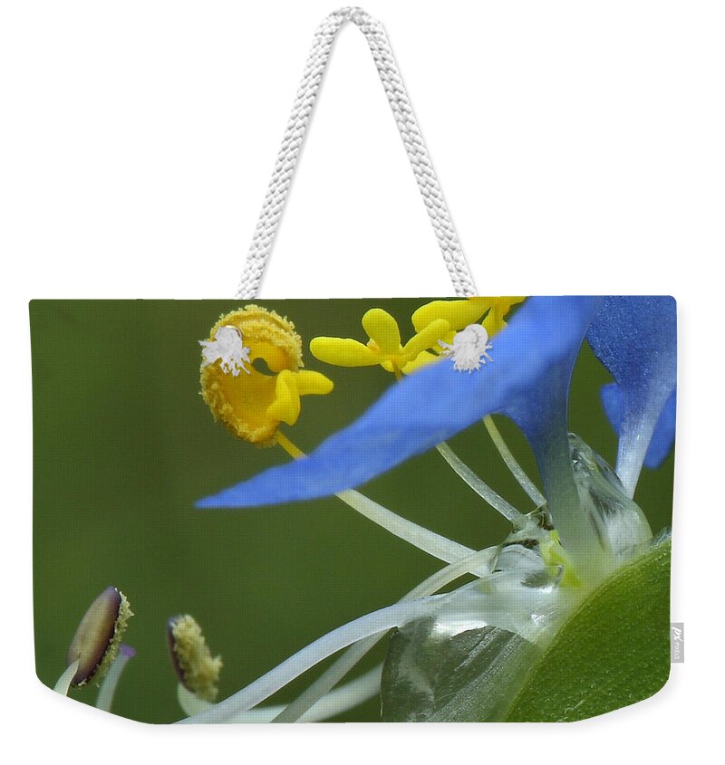 Slender Dayflower Weekender Tote Bag featuring the photograph Close View Of Slender Dayflower Flower With Dew by Daniel Reed