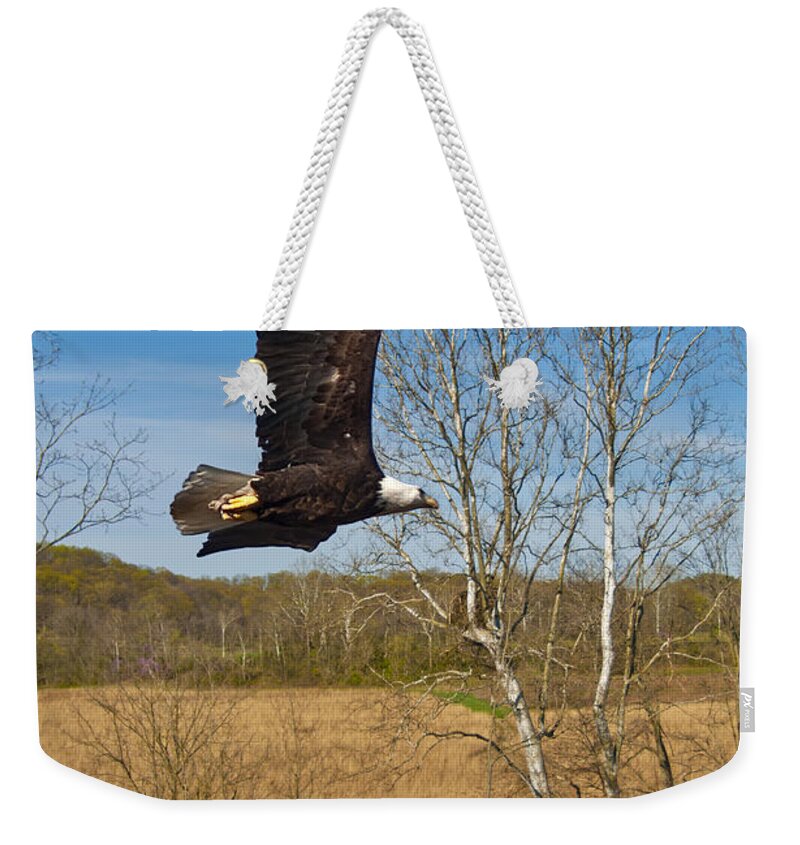 Eagle Nest Environment Weekender Tote Bag featuring the photograph Eagle circleing her nest by Randall Branham