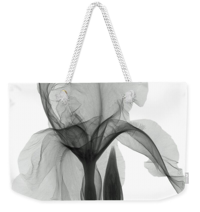 Xray Weekender Tote Bag featuring the photograph An X-ray Of An Iris Flower by Ted Kinsman