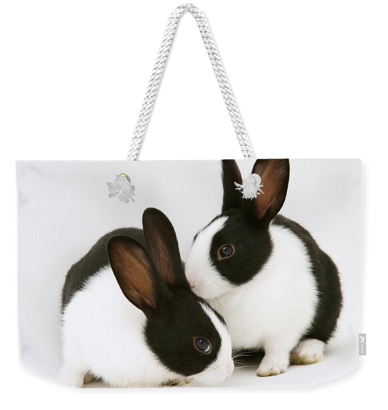 Black-and-white Dutch Rabbit Weekender Tote Bag featuring the photograph Baby Black-and-white Dutch Rabbits #1 by Jane Burton