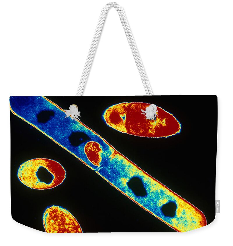 Electron Weekender Tote Bag featuring the photograph Bacillus Subtilis #1 by Omikron