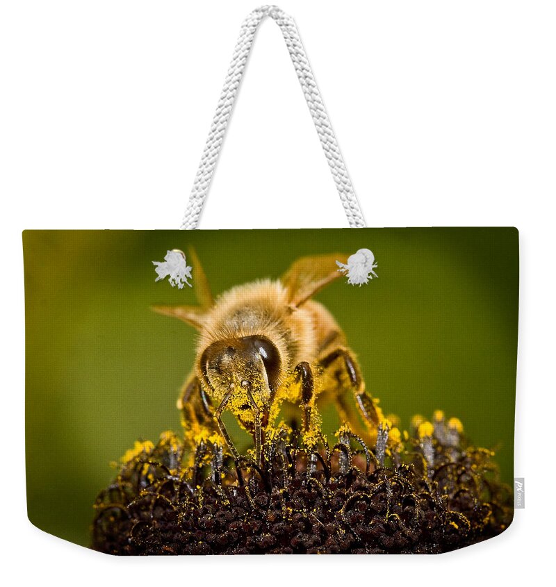 Bee There Weekender Tote Bag featuring the photograph Bee There #2 by Jean Noren