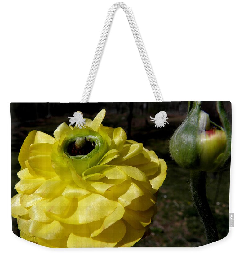Ranunculus Weekender Tote Bag featuring the photograph Before And After #1 by Kim Galluzzo